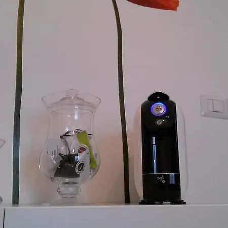 My In Guest house 2*
